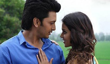 Riteish-Genelia to tie the knot in February